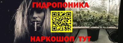 a pvp Камень-на-Оби