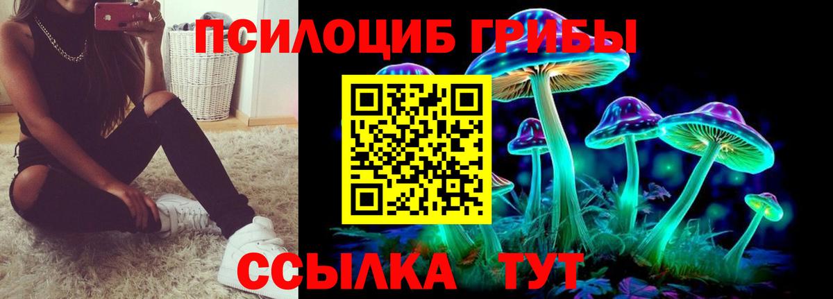 Галлюциногенные грибы Cubensis  Вход с VPN  Балашиха  Галлюциногенные грибы Magic Shrooms 